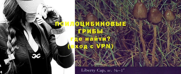 кокаин Белокуриха