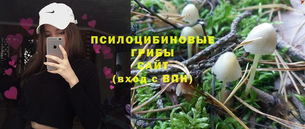 кокаин Белокуриха