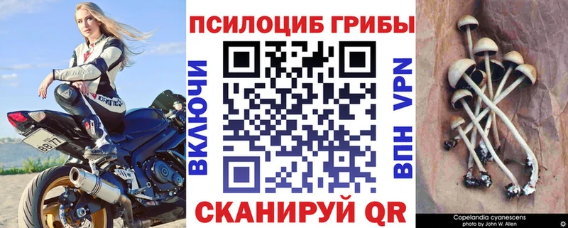 Галлюциногенные грибы GOLDEN TEACHER  Верхотурье 